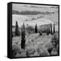 Tuscany VI-Alan Blaustein-Framed Stretched Canvas