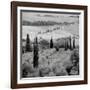 Tuscany VI-Alan Blaustein-Framed Photographic Print