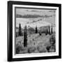 Tuscany VI-Alan Blaustein-Framed Photographic Print