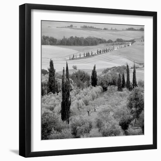Tuscany VI-Alan Blaustein-Framed Photographic Print