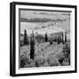 Tuscany VI-Alan Blaustein-Framed Photographic Print