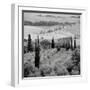 Tuscany VI-Alan Blaustein-Framed Photographic Print