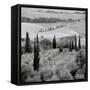 Tuscany VI-Alan Blaustein-Framed Stretched Canvas