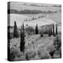 Tuscany VI-Alan Blaustein-Stretched Canvas