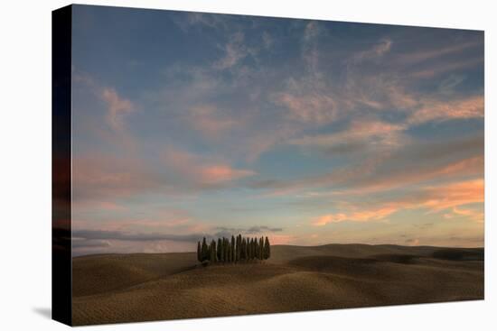 Tuscany VII-Maciej Duczynski-Stretched Canvas