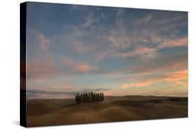 Tuscany VII-Maciej Duczynski-Stretched Canvas