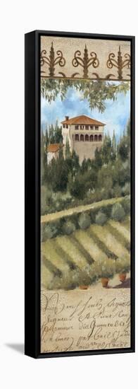 Tuscany Villa II-Liz Jardine-Framed Stretched Canvas