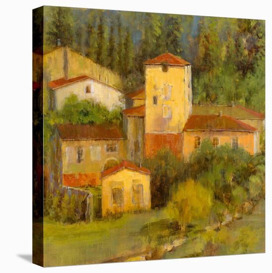 Tuscany Villaggio - Detail-Longo-Stretched Canvas