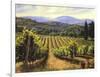 Tuscany Vines-Michael Swanson-Framed Premium Giclee Print