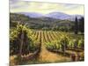 Tuscany Vines-Michael Swanson-Mounted Premium Giclee Print