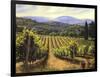 Tuscany Vines-Michael Swanson-Framed Premium Giclee Print