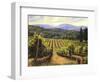 Tuscany Vines-Michael Swanson-Framed Art Print