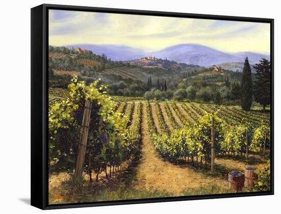 Tuscany Vines-Michael Swanson-Framed Stretched Canvas