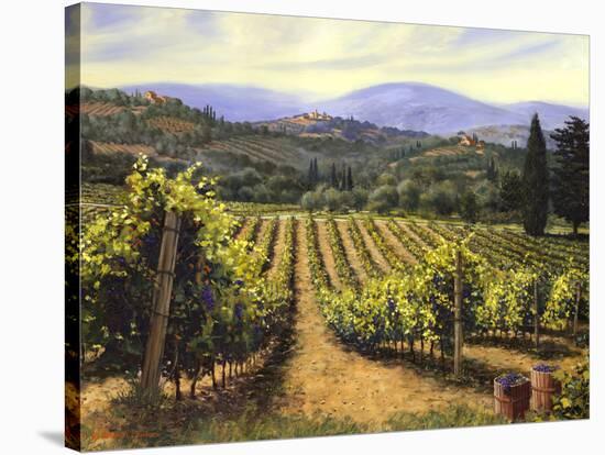 Tuscany Vines-Michael Swanson-Stretched Canvas