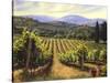 Tuscany Vines-Michael Swanson-Stretched Canvas