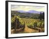 Tuscany Vines-Michael Swanson-Framed Art Print