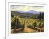 Tuscany Vines-Michael Swanson-Framed Art Print