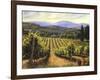 Tuscany Vines-Michael Swanson-Framed Art Print