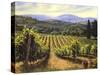 Tuscany Vines-Michael Swanson-Stretched Canvas