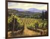 Tuscany Vines-Michael Swanson-Framed Art Print