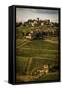 Tuscany Vineyard 02-Dan Ballard-Framed Stretched Canvas