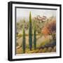 Tuscany Vineyard II-Michael Marcon-Framed Art Print