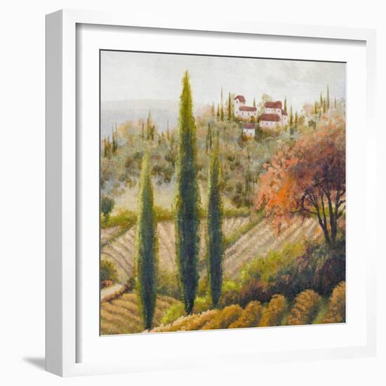 Tuscany Vineyard II-Michael Marcon-Framed Art Print