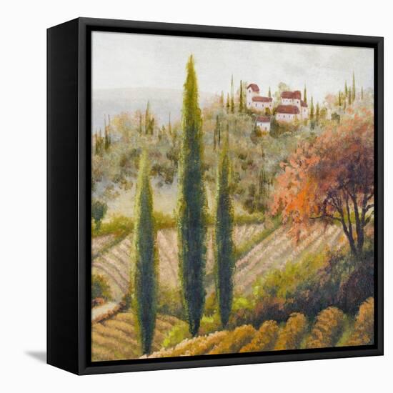Tuscany Vineyard II-Michael Marcon-Framed Stretched Canvas