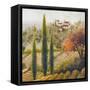 Tuscany Vineyard II-Michael Marcon-Framed Stretched Canvas
