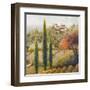 Tuscany Vineyard II-Michael Marcon-Framed Art Print