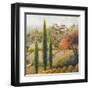 Tuscany Vineyard II-Michael Marcon-Framed Art Print