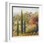 Tuscany Vineyard II-Michael Marcon-Framed Art Print