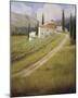 Tuscany Vineyard-Hawley-Mounted Art Print