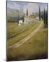 Tuscany Vineyard-Hawley-Mounted Giclee Print