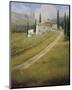 Tuscany Vineyard-Carolyne Hawley-Mounted Art Print