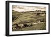 Tuscany Vineyard-Dan Ballard-Framed Photographic Print