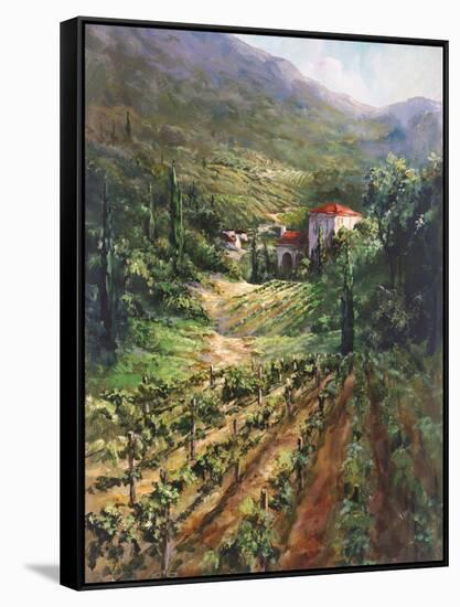 Tuscany Vineyard-Art Fronckowiak-Framed Stretched Canvas