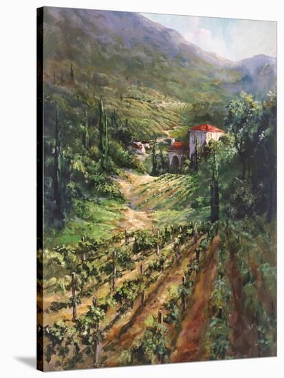 Tuscany Vineyard-Art Fronckowiak-Stretched Canvas