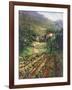 Tuscany Vineyard-Art Fronckowiak-Framed Art Print