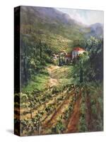 Tuscany Vineyard-Art Fronckowiak-Stretched Canvas