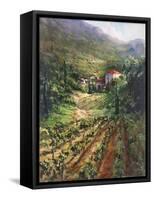 Tuscany Vineyard-Art Fronckowiak-Framed Stretched Canvas