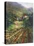 Tuscany Vineyard-Art Fronckowiak-Stretched Canvas