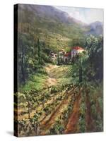 Tuscany Vineyard-Art Fronckowiak-Stretched Canvas