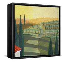 Tuscany Vinnicola II-Herb Dickinson-Framed Stretched Canvas