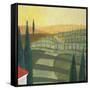 Tuscany Vinnicola II-Herb Dickinson-Framed Stretched Canvas