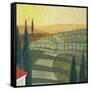 Tuscany Vinnicola II-Herb Dickinson-Framed Stretched Canvas
