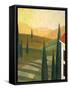 Tuscany Vinnicola-Herb Dickinson-Framed Stretched Canvas