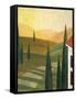 Tuscany Vinnicola-Herb Dickinson-Framed Stretched Canvas