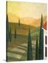 Tuscany Vinnicola-Herb Dickinson-Stretched Canvas
