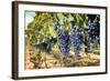 Tuscany Wine Grapes-ilfede-Framed Art Print